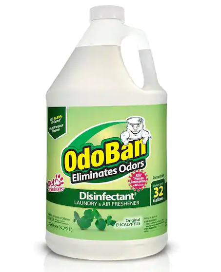 1 Gal. Eucalyptus Disinfectant and Odor Eliminator, Fabric Freshener, Mold Control, Multi-Purpose Cleaner Concentrate